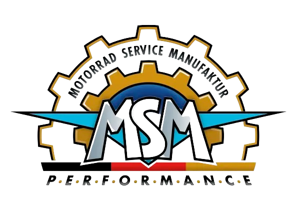 MSM logo