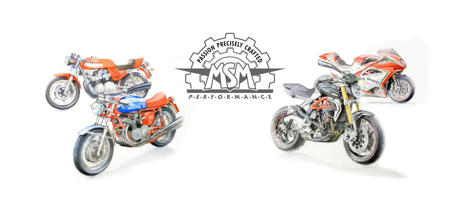 MSM-PERFORMANCE - Matthias Schumacher 