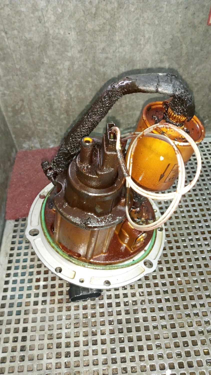 ULTRASCHALLBAD  Reinigung von MSM-PERFORMANCE
